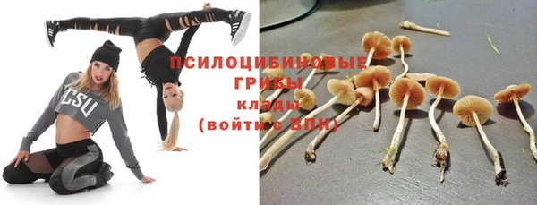 ALPHA PVP Аркадак