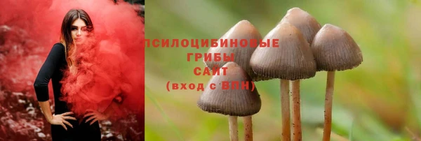 ешки Арсеньев