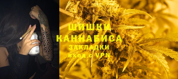 ешки Арсеньев